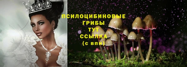 mdpv Алзамай